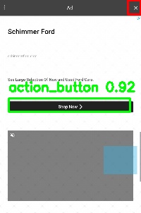 Detected image