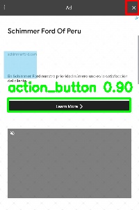 Detected image
