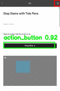 Detected image