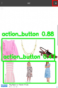 Detected image