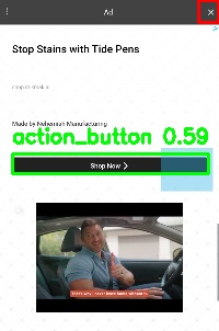Detected image