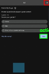 Detected image