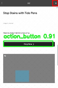 Detected image