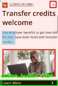 Detected image