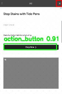Detected image