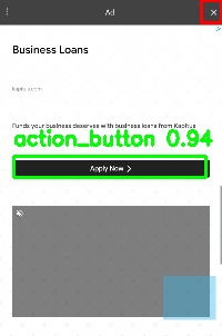 Detected image
