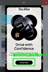 Detected image