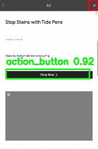 Detected image