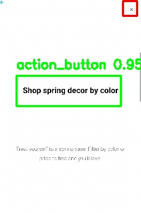Detected image
