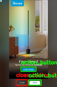 Detected image