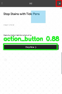Detected image