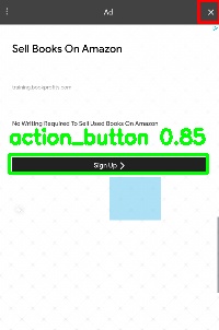 Detected image