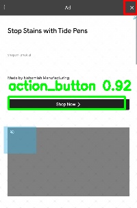 Detected image