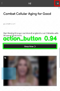 Detected image