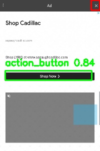 Detected image