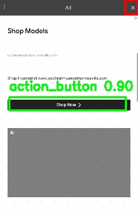 Detected image