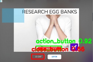 Detected image