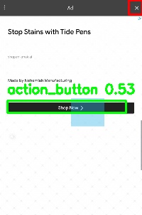 Detected image