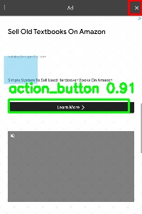 Detected image