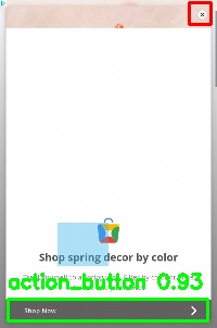 Detected image