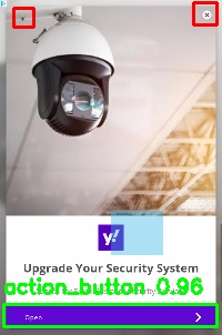 Detected image
