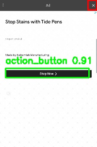 Detected image