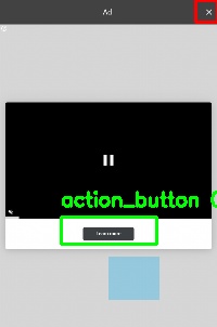 Detected image