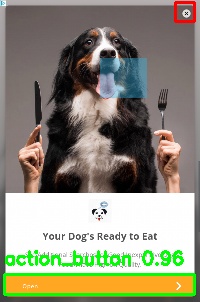 Detected image
