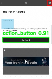 Detected image