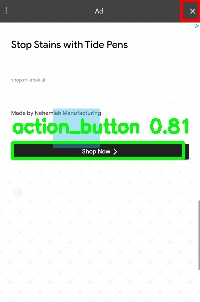 Detected image