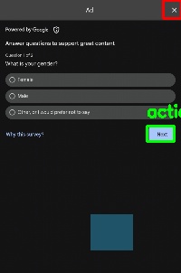 Detected image