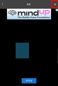 Detected image