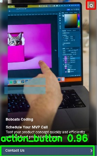 Detected image