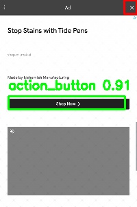 Detected image