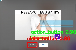 Detected image