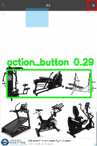 Detected image