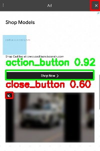 Detected image