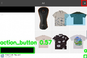 Detected image