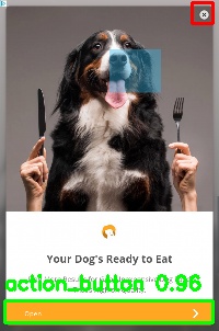 Detected image