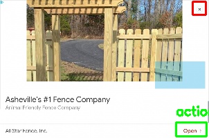 Detected image
