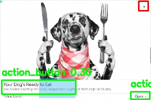 Detected image