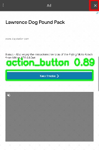 Detected image