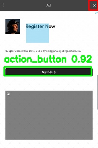 Detected image
