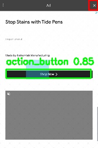 Detected image