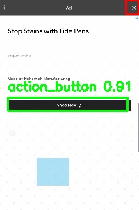 Detected image