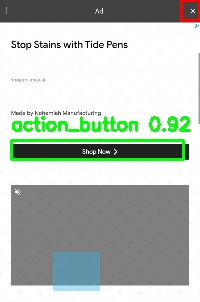Detected image