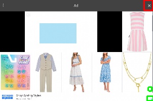 Detected image