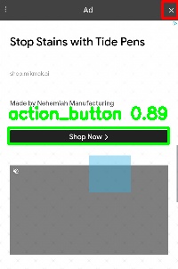 Detected image