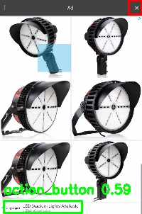 Detected image