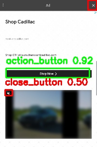 Detected image